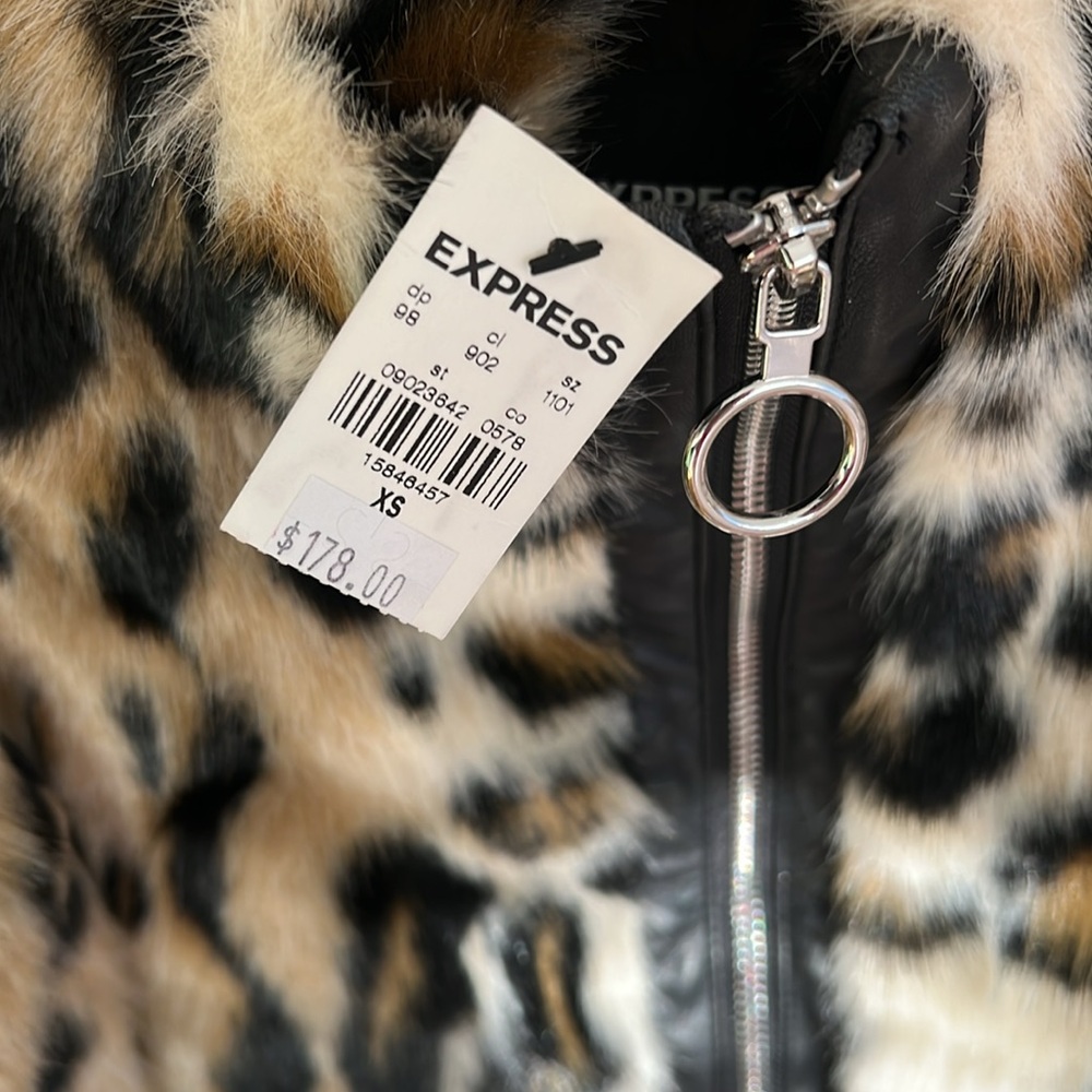 Express Coat- never worn. - Picture 2 of 4
